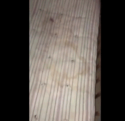 乌克兰少女的苦难，不是你的春梦
