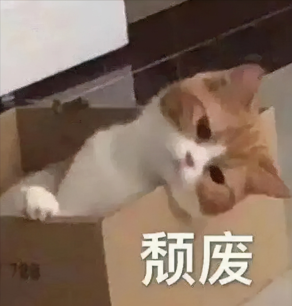 对复试前“emo”说No！北大软微语言信息工程学姐亲述复试经历