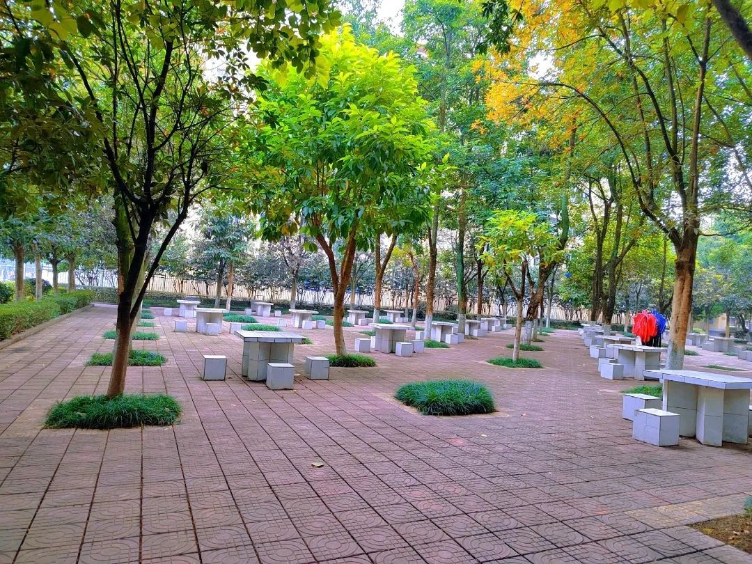 重庆超“有颜”大学！坐拥研究中心“全国唯一”，拥有价值超20万的神仙月季！