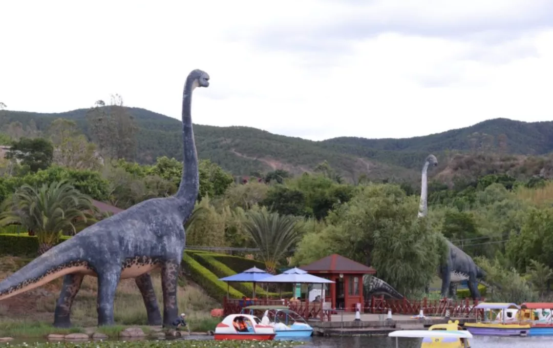 最近超火的盐帮菜之乡让我大开眼界，奇怪的知识又增加了