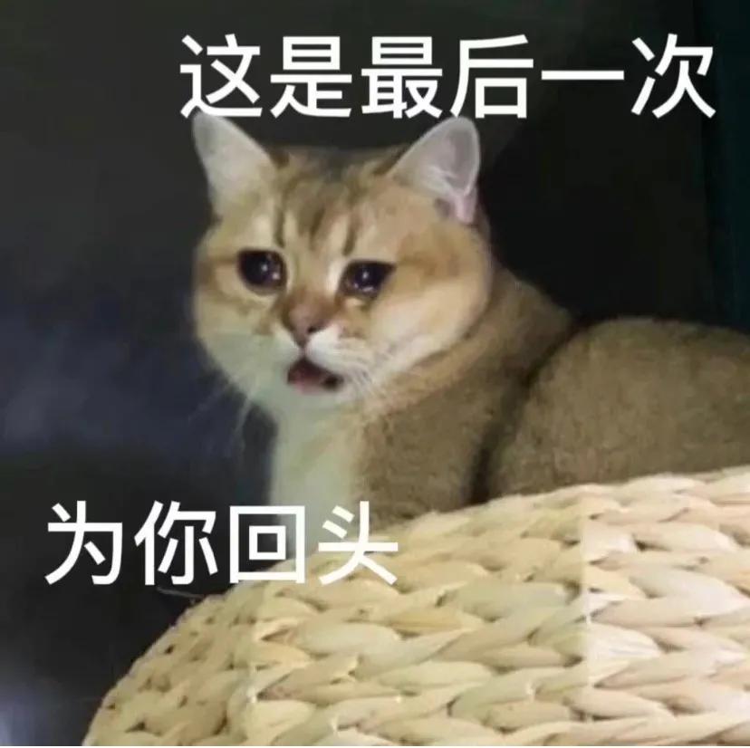 表情包｜你真的很好 不认识更好