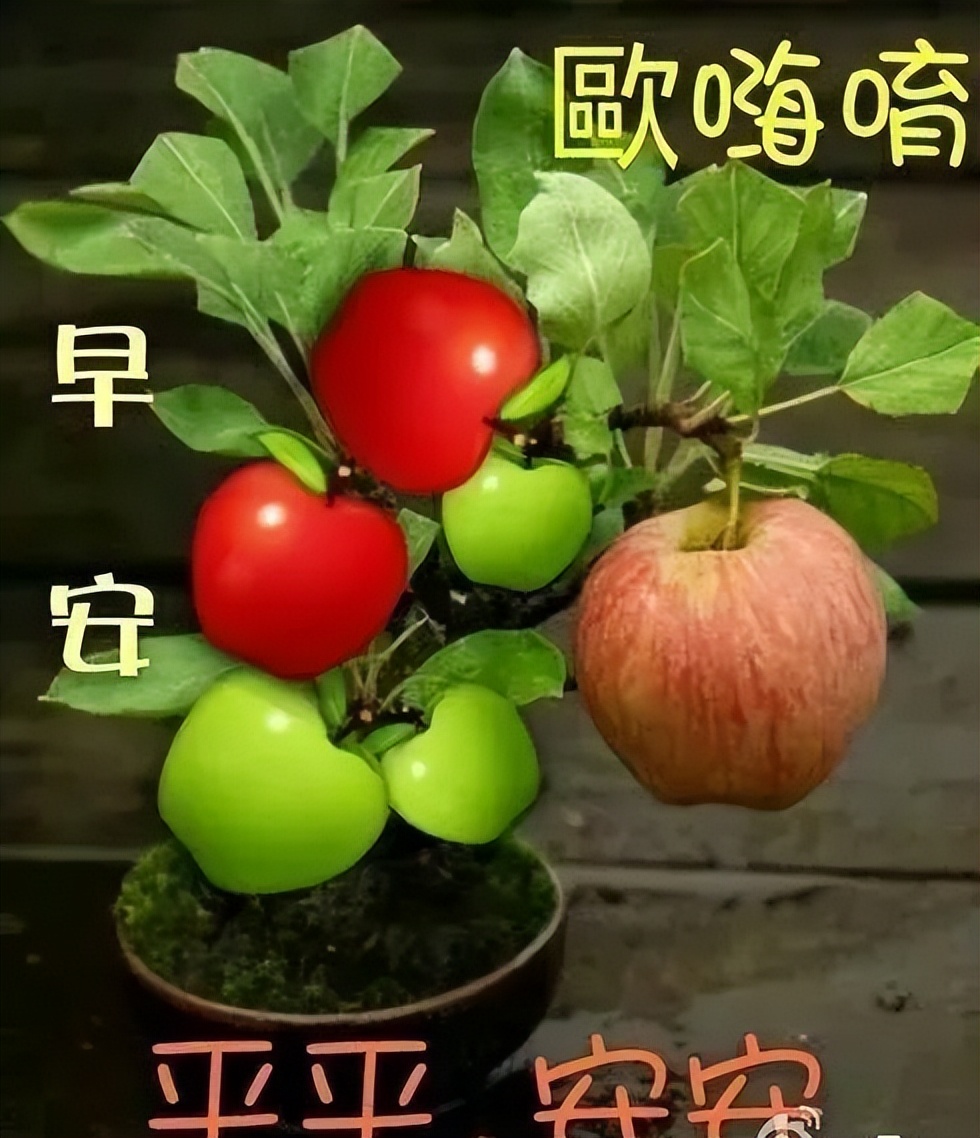 朋友圈祝福早上好语录文字图片 时间流逝、友谊长存图片