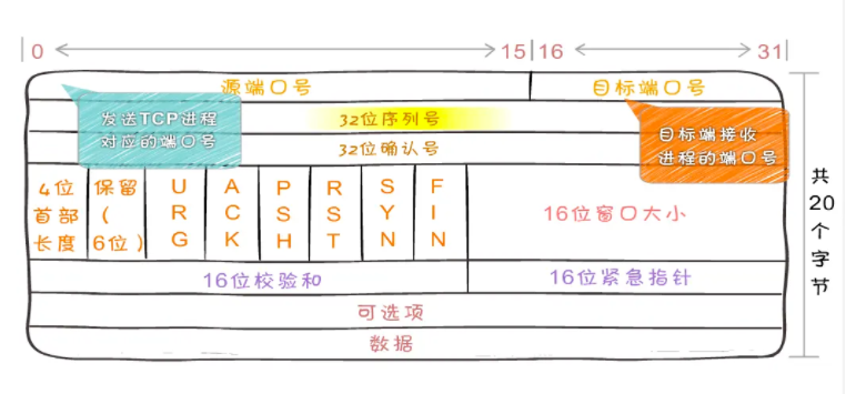 圖解TCP、UDP，流量控制，擁塞控制，一次看懂