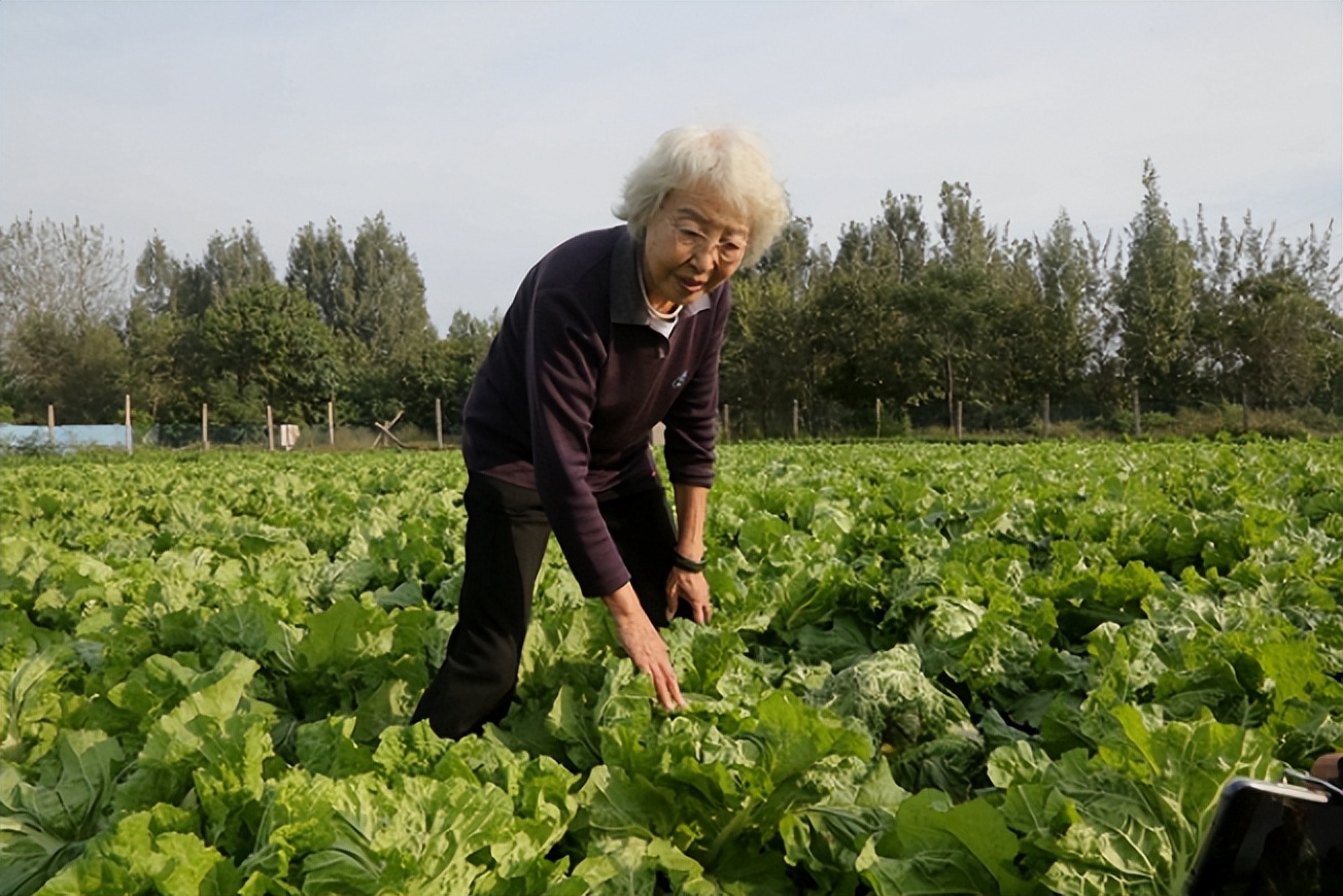 八十八载风雨路，看西北农林科技大学横戈跃马，再续华章