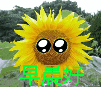 周五最新早上好表情包，事事美好，平安顺心、天天快乐图片