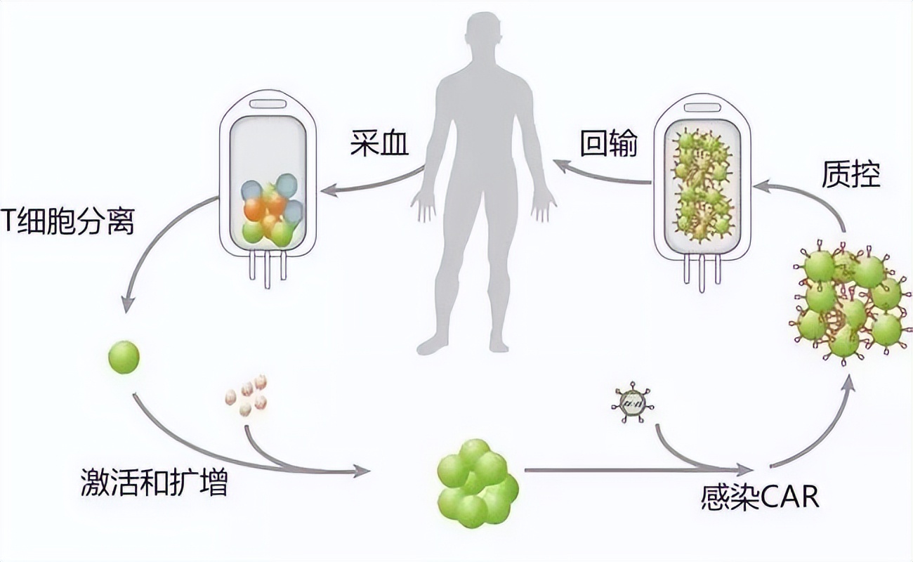 免疫疗法治疗恶性肿瘤！河南团队硬核成果转让签约，总金额超8000万元！