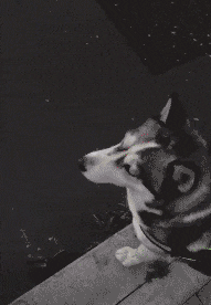 爸，你旁边的叔叔好帅，爸爸：这是你妈，网友当场笑喷了，哈哈哈