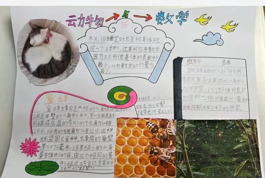 书香润泽生命 阅读成就未来｜记成都市双流区棠湖小学之书香班级
