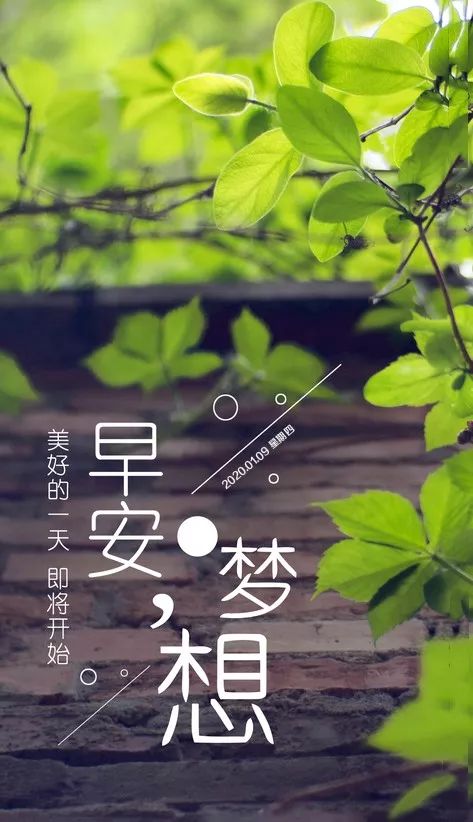 好看的早上好表情包 朋友圈早上好祝福语 健康才是生活最大的意义图片