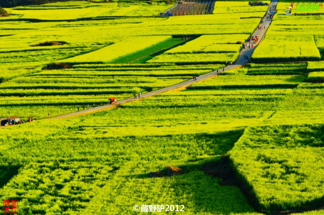 快开啦！这些地方的春景正在悄悄席卷全国，大气又美丽，别错过