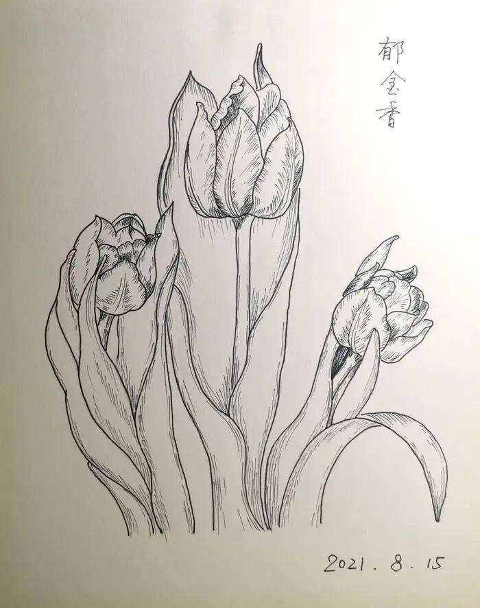 这一幅《锦带花》是以前粗粗