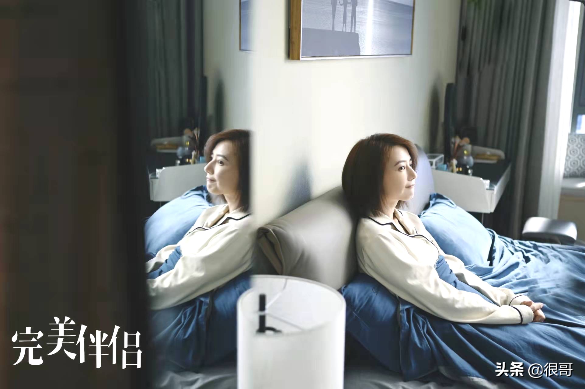 我的前半生李律师谁演的（完美伴侣）