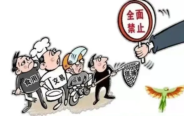 【蒙检说法】非法捕鸟陷牢狱 破坏生态巨额赔