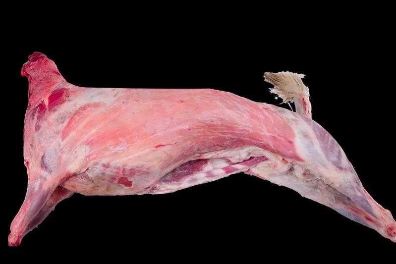 羊身上最好吃的4个部位，便宜却没人买，营养价值极高，别不懂吃