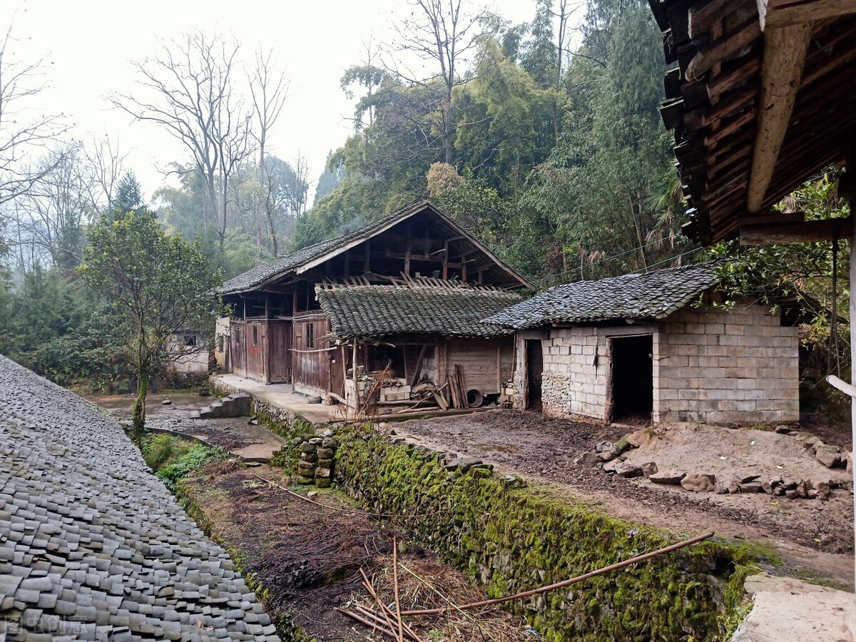 官方：规范村庄撤并，接下来农村房子迎来大动作，农村人要看