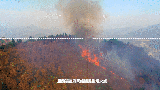 赛达科技推动森林防火地面全流程数字化监管体系建设