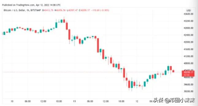 随着美国通胀达到 1981 年以来的最高水平，比特币随股市飙升