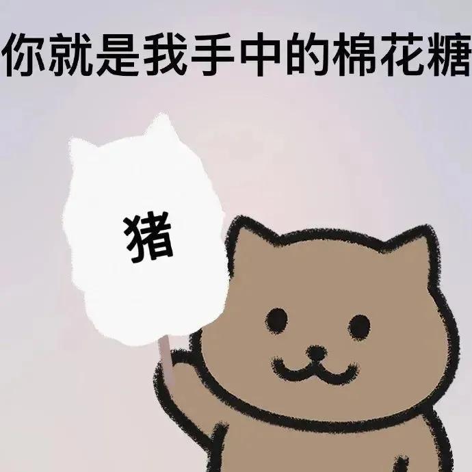 表情包｜你说你的，反正我不听