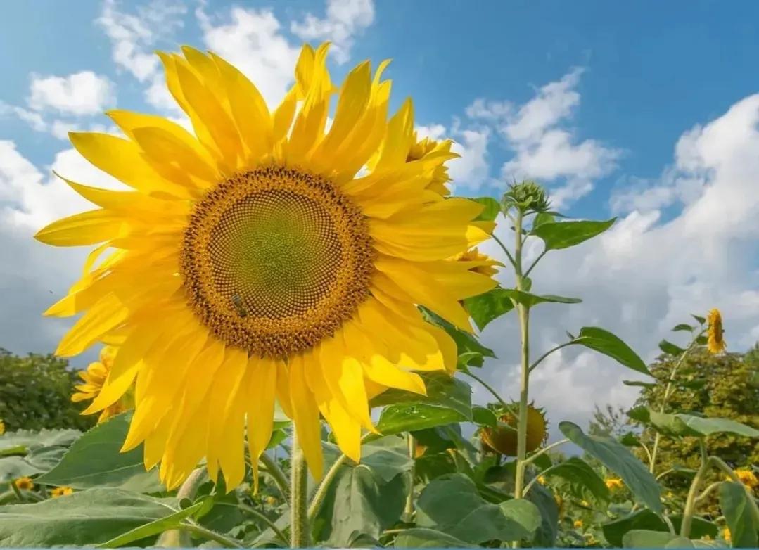 温暖人心的励志句子