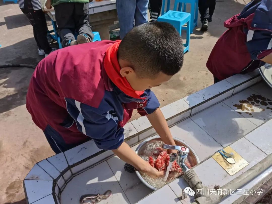 四川天府新区三星小学在学生中开展餐厨活动以实践劳动课程