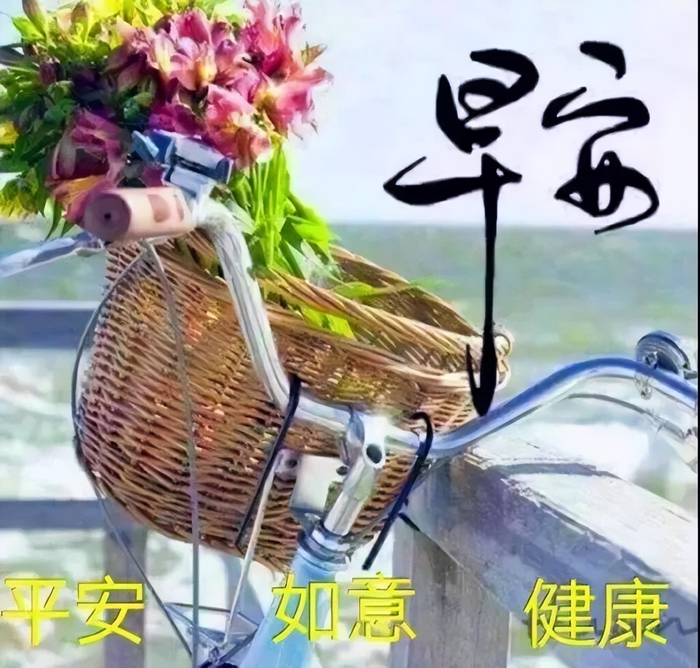 周一更新漂亮唯美早上好表情包 开心自在、美丽好心情图片