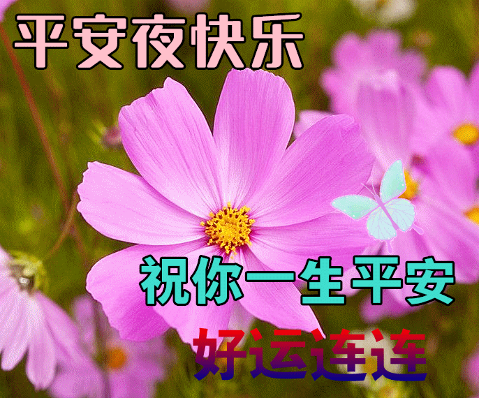 平安夜图片动态祝福平安顺利图片（平安夜的动态图片和祝福语）
