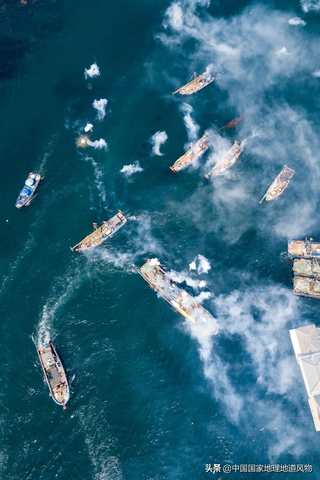 辽宁，被忽略的海鲜大省