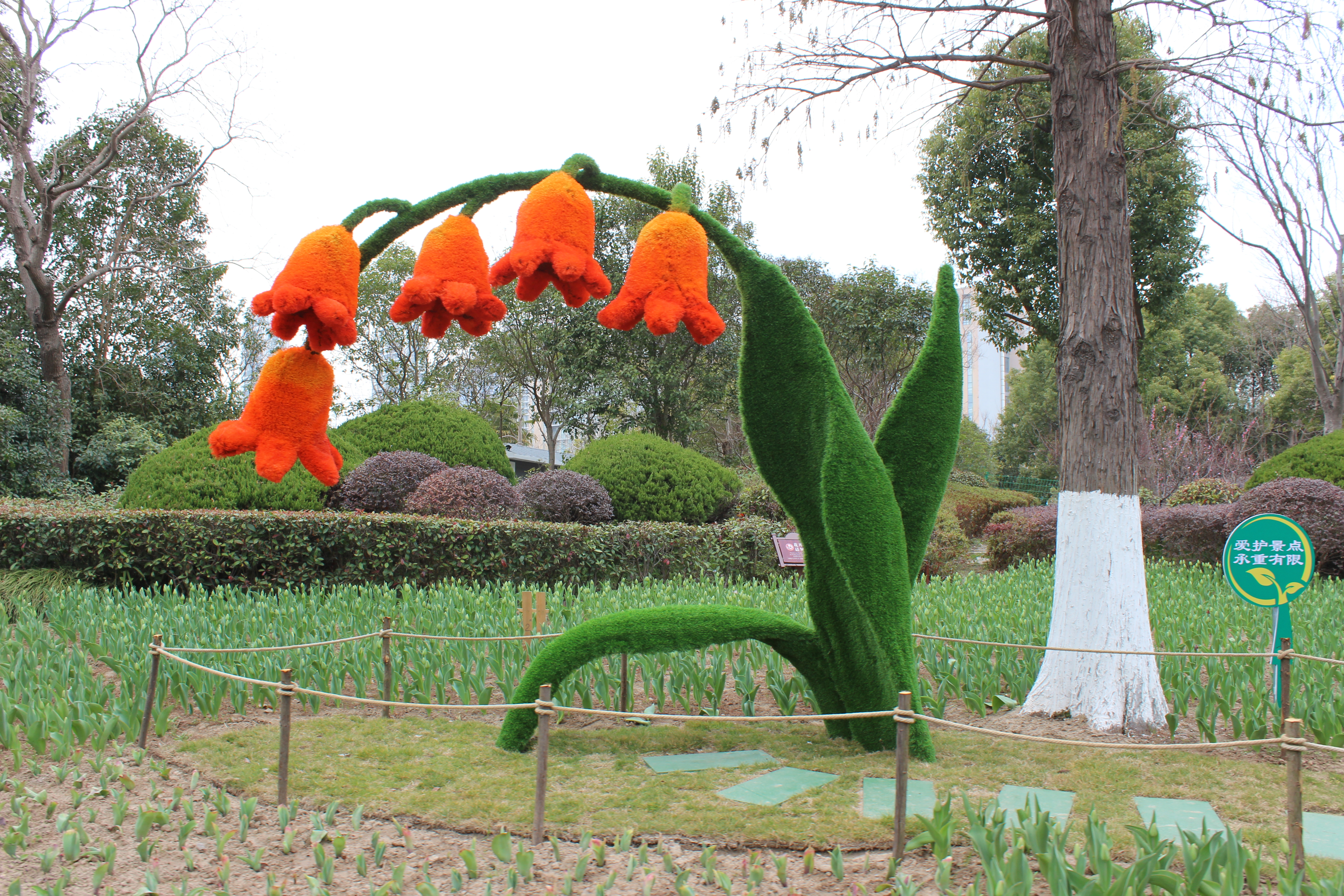 「啬园第十四届郁金香花展」以花之名，“郁”见春天