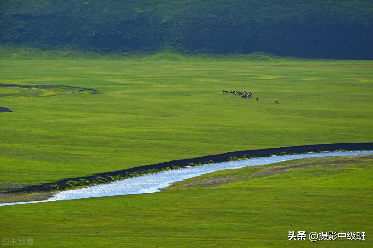 这3种摄影忌讳，毁掉1张照片，拍草原风景的失误构图