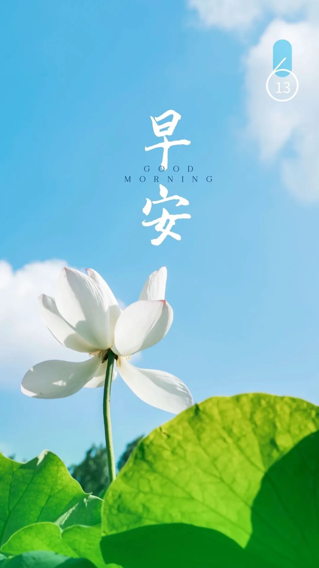 06.14」早安心语,正能量简单语录短句,夏季暖心句子图片