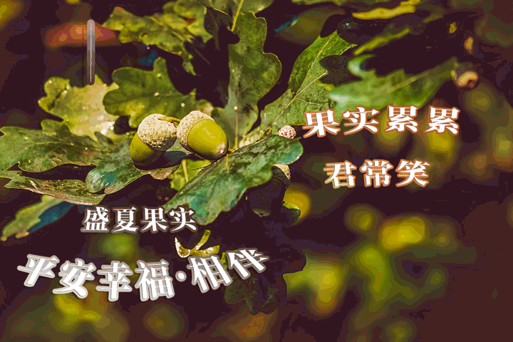 微信早上好漂亮祝福图片 暖心早安问候语简短 祝你平安伴身边图片