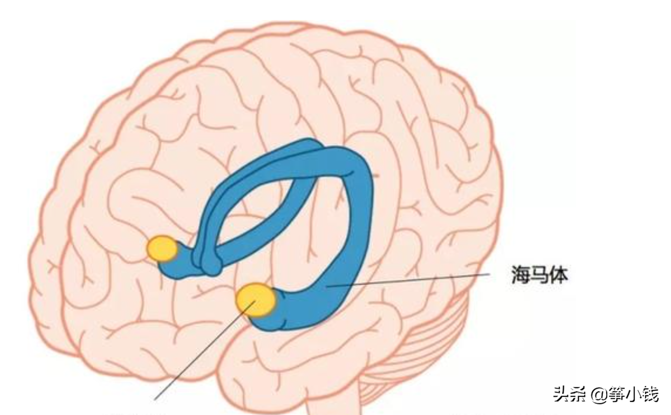 想学习新技能，无奈总走神？用对“星星学习法”，找回你的专注力