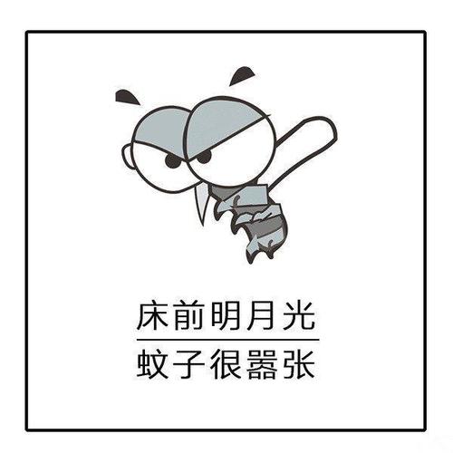 世界上最大的西瓜（世界上不为人知的冷知识分享）