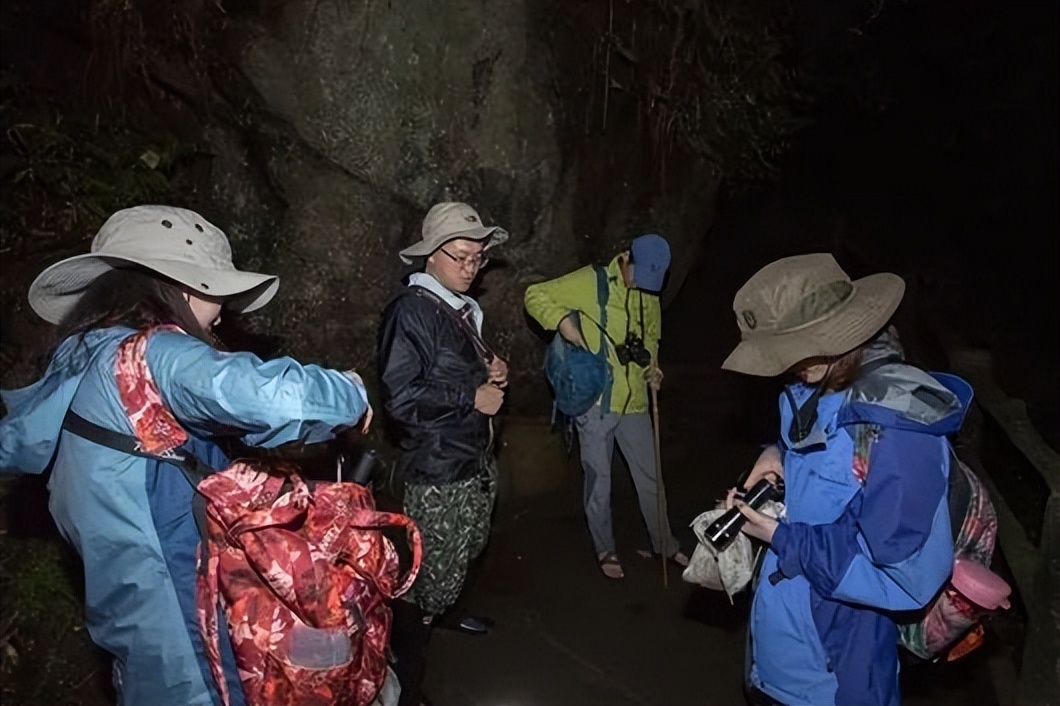 一张封面，为啥画了80年？