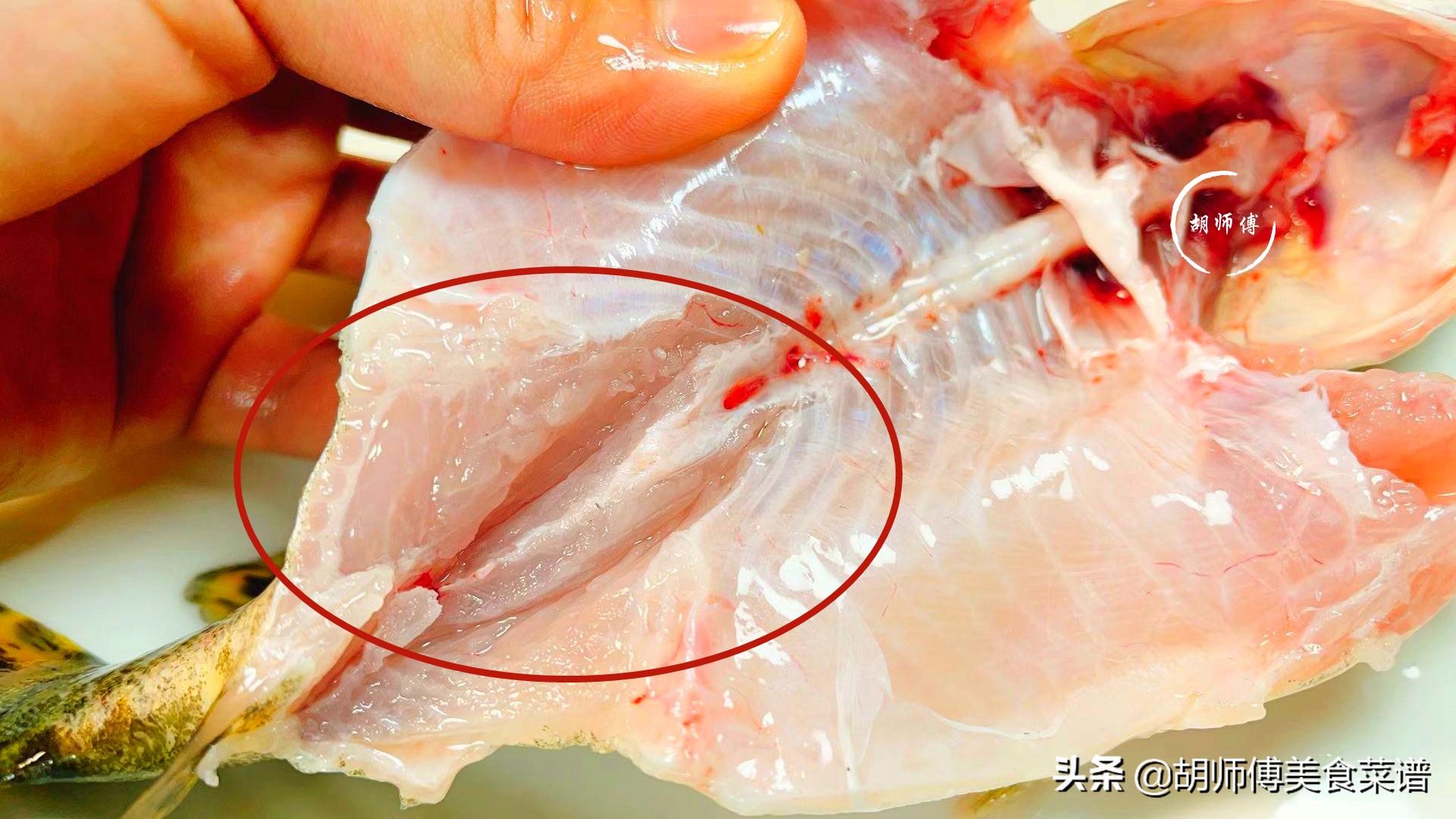 無論蒸什麼魚，這種調料不能放，很多人都會放，難怪魚肉又老又腥