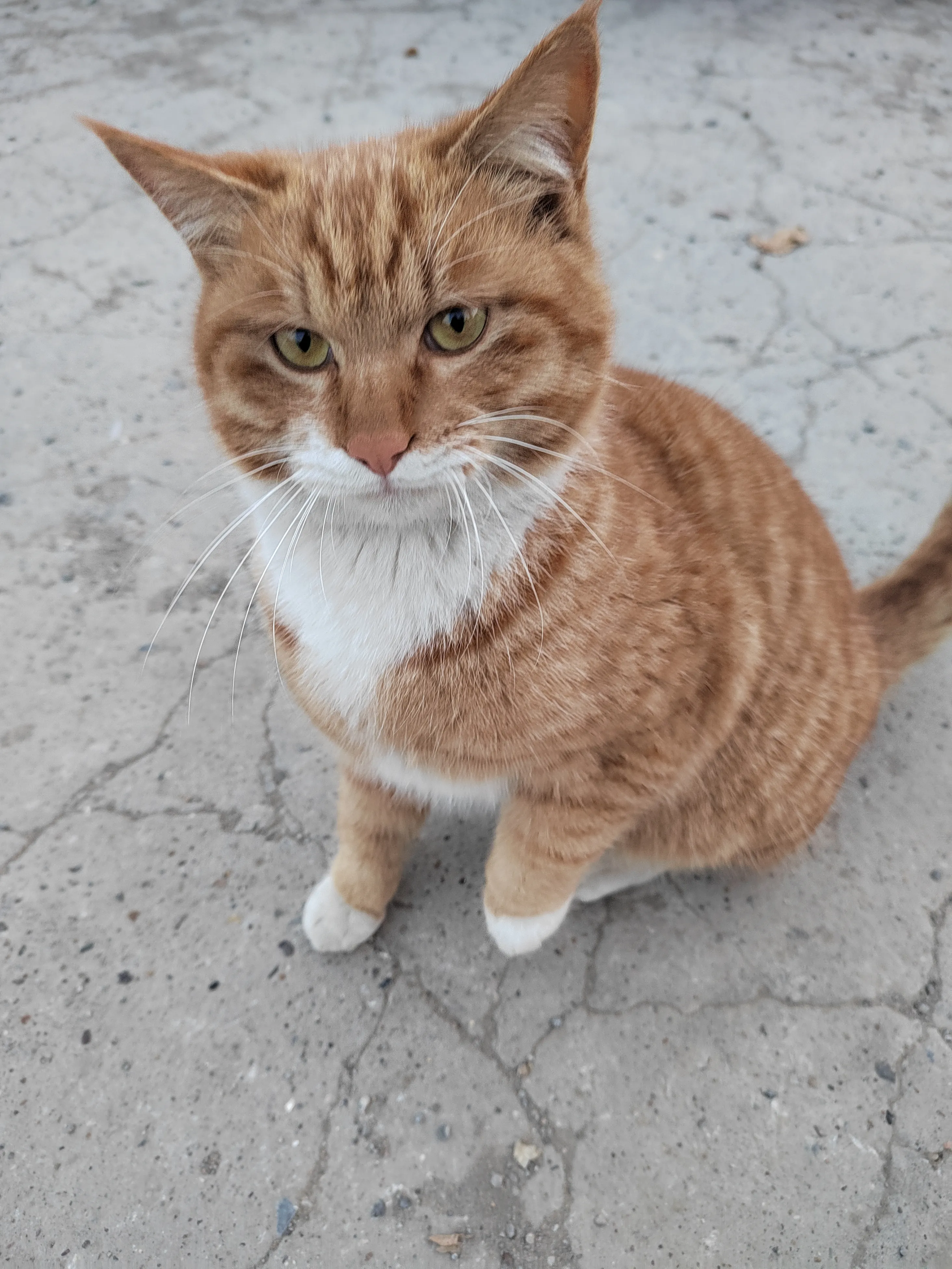 会Excel的人，不寂寞,。。自己搞几个Excel公式玩儿，哈哈哈！