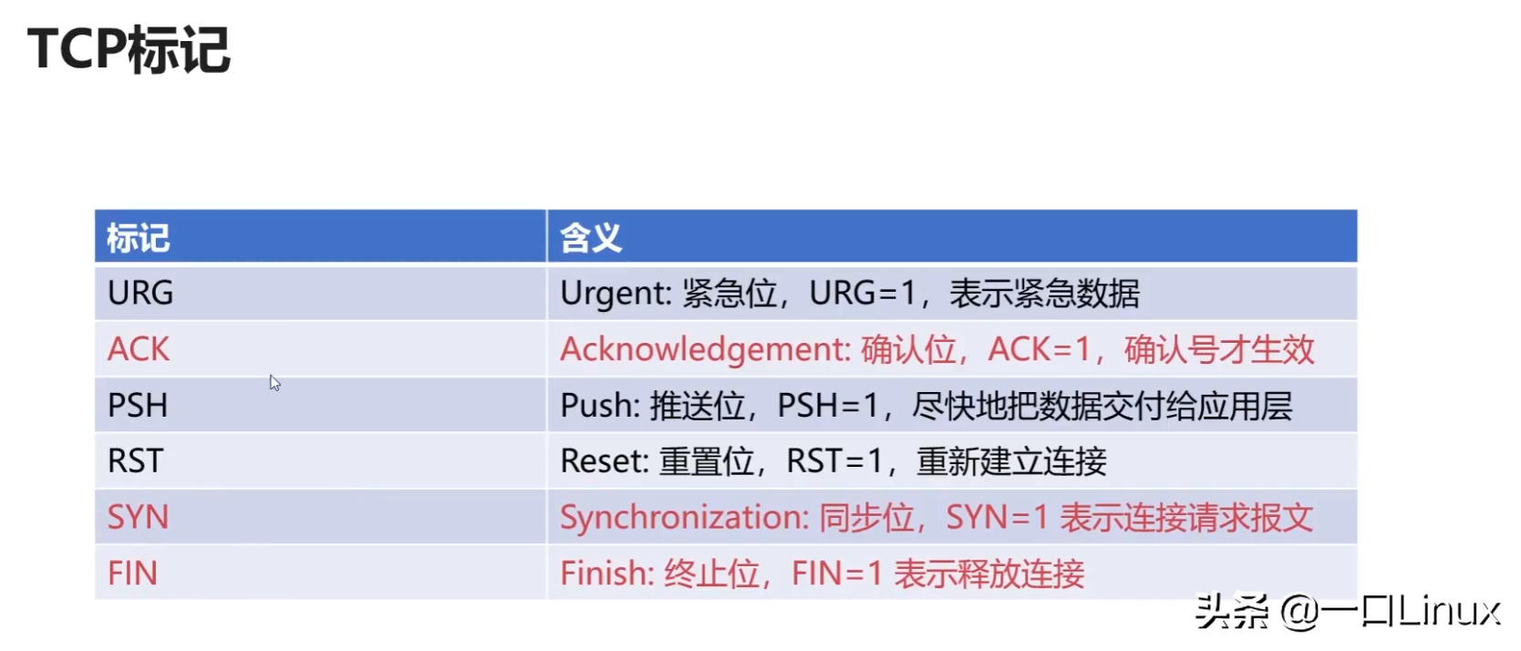 計算機網絡知識點全面總結（這也太全了吧！）