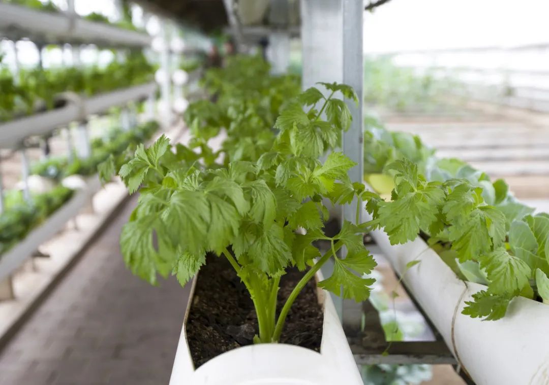 �侯<a href=http://www.cngansu.cn/news/ target=_blank class=infotextkey>����</a>�ܶӸ���֧�ӣ�˭˵��ԭ��������