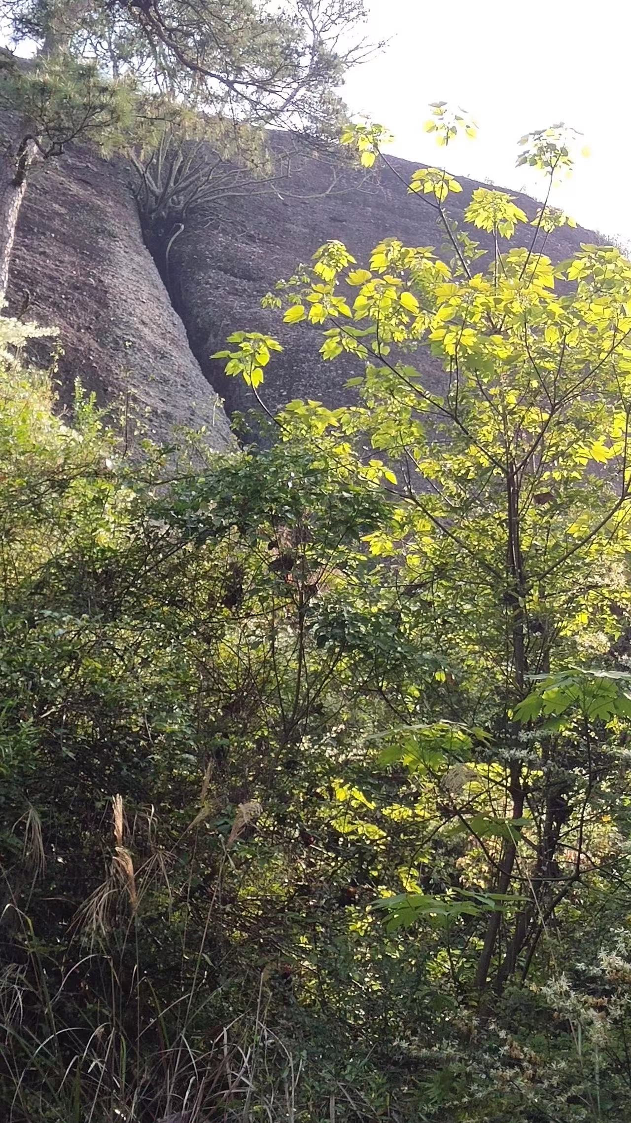 胜景犹仙境，清风荡俗愁——藤县新庆诗社，书协石龙岭采风专辑