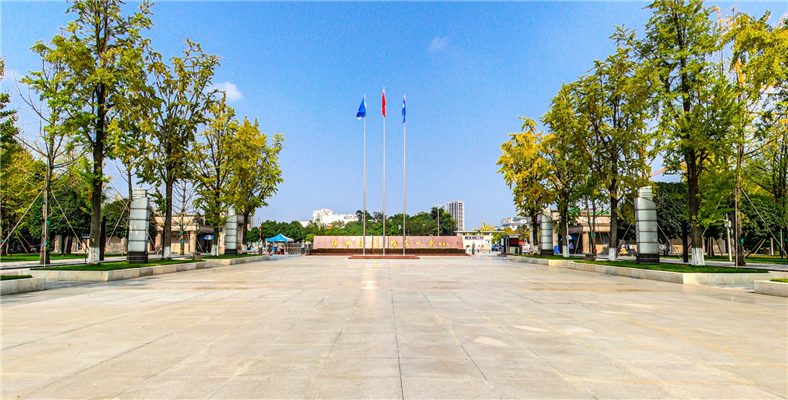 西南财经大学在渝录取详解，国家专项录分超普本，金融学强势依旧