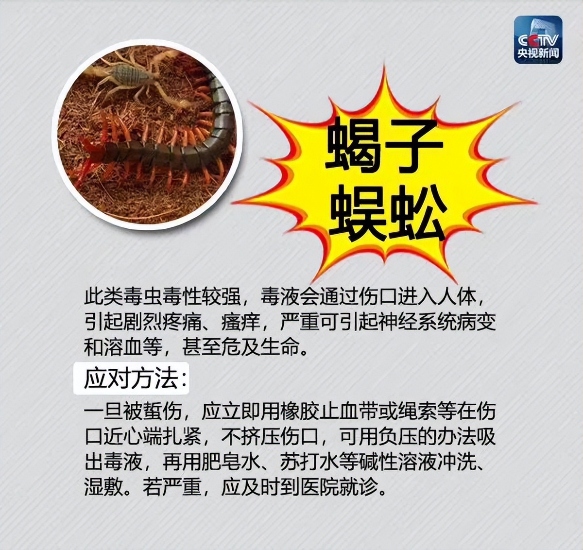 夏季蚊虫出没,这份最全防虫手册及应对方法请收好!
