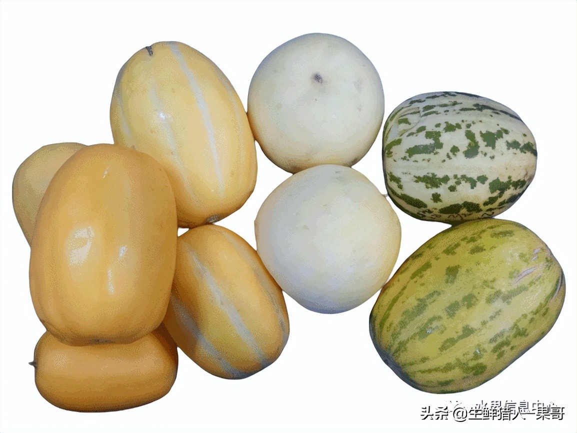 哈密瓜、蜜瓜、网纹瓜、香瓜、羊角蜜傻傻分不清？看完就明白了