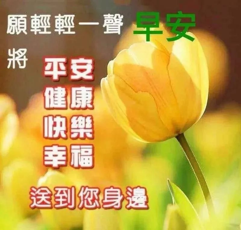 周四温馨早安祝福语录短信精选 早安美好，简单生活，开心自在图片