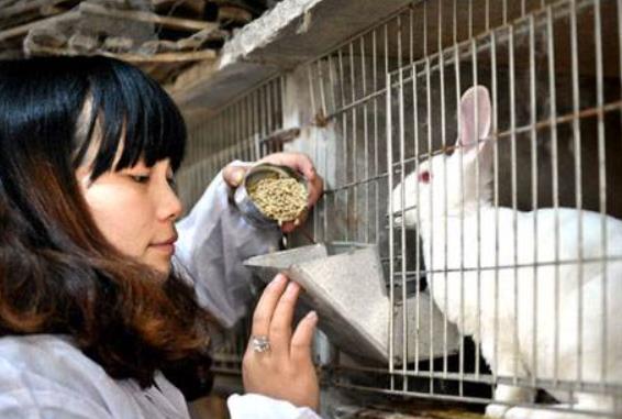 高校学生“大发善心”，将试验样本悄悄放生，发文炫耀遭怒怼