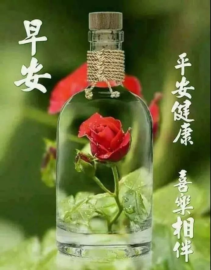 漂亮周日早上好祝福图片，早上好祝福语句，愿你每天好心情图片