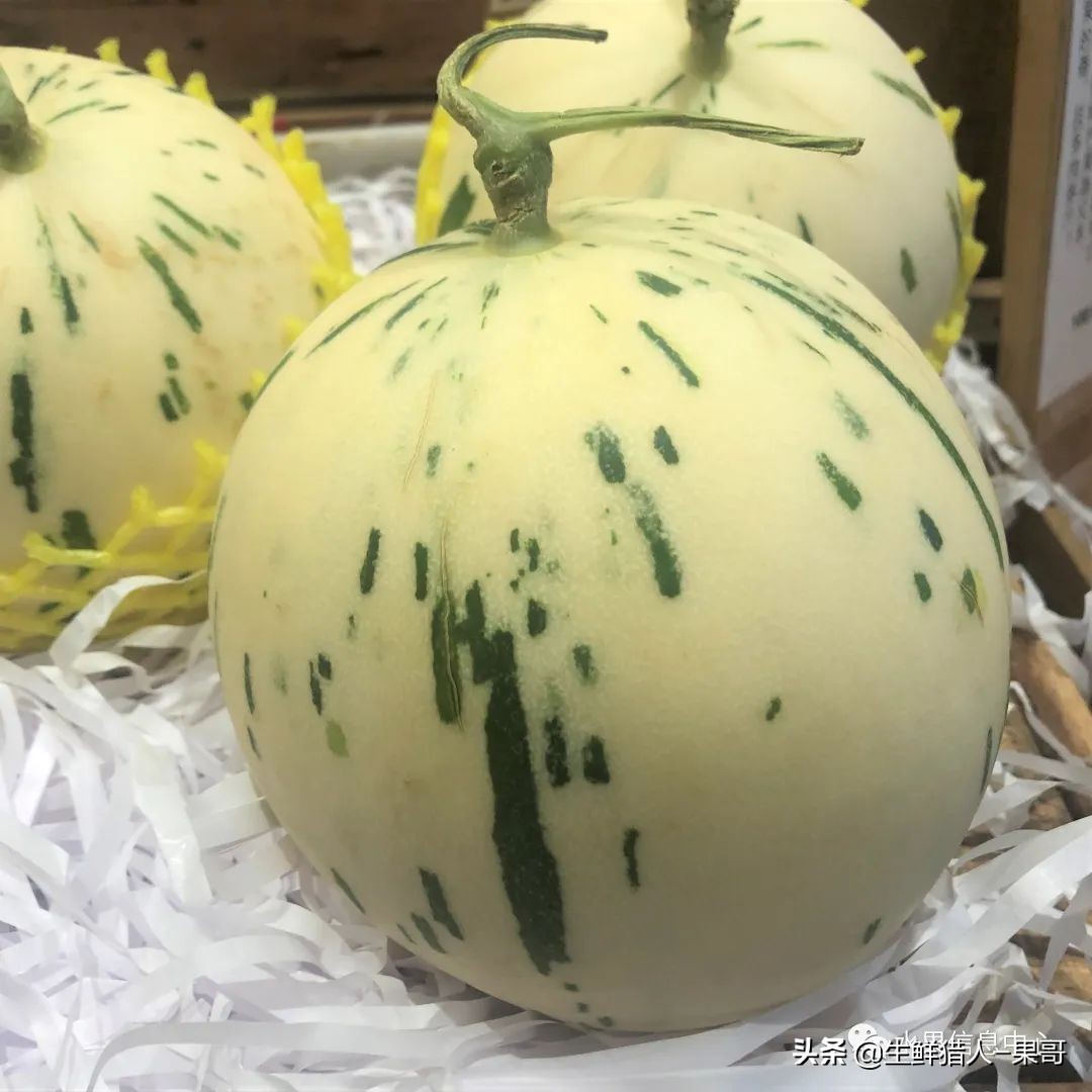 哈密瓜、蜜瓜、网纹瓜、香瓜、羊角蜜傻傻分不清？看完就明白了
