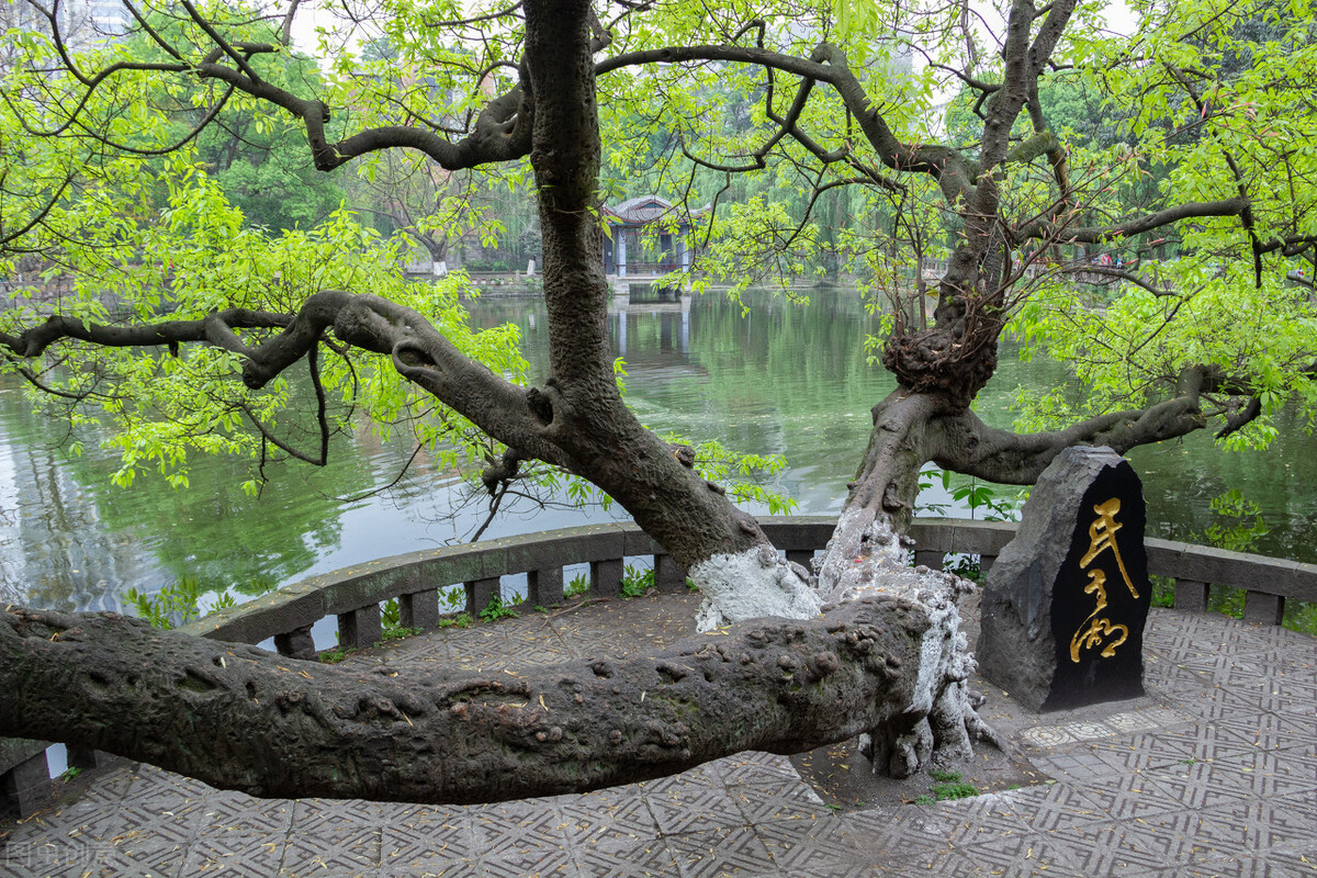 高考志愿选哪些大学好？排名前30%的本科、公办高校前半区均不错