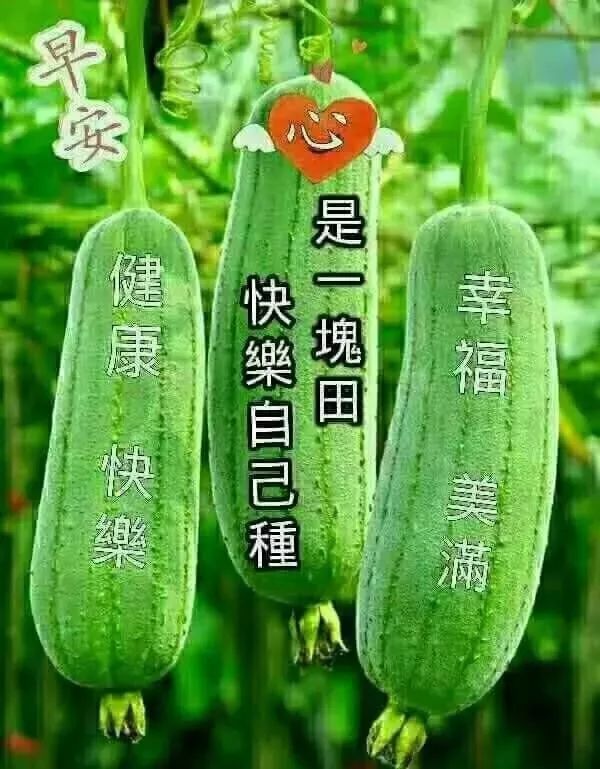 周三早上好祝福图片 微信早上好问候语 早安朋友，有你真好图片