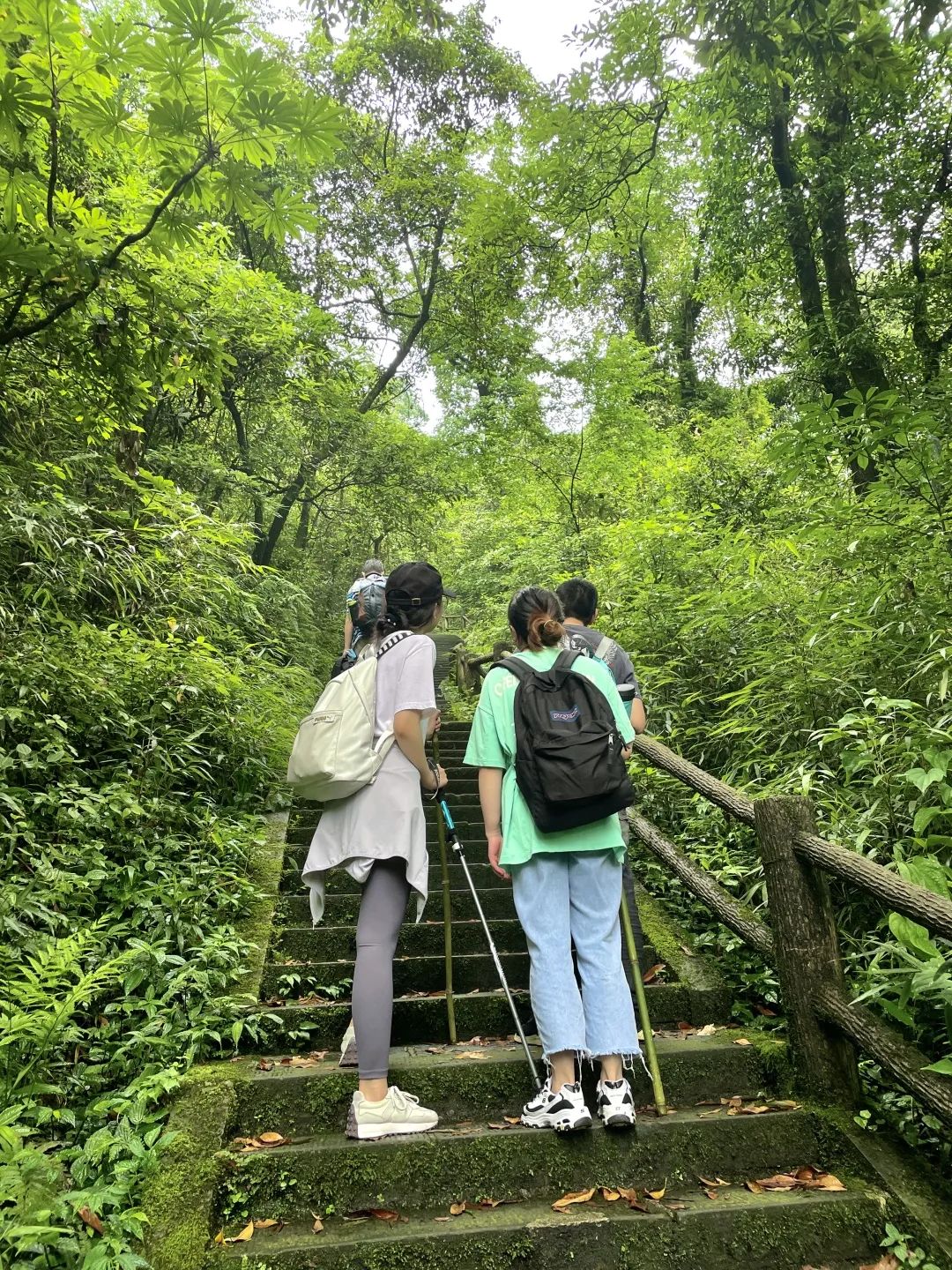 峨眉山旅游攻略（峨眉山2天1晚徒步攻略）