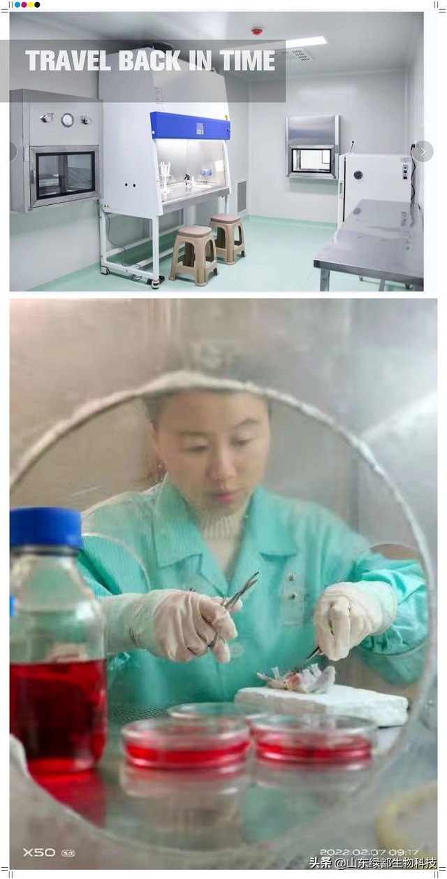 山东绿都武玉香博士创新团队研究的地沟油论文在国际权威期刊发表